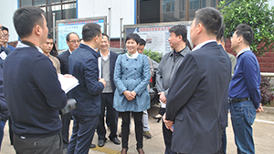 湘潭市市長(zhǎng)談文勝來(lái)公司考察