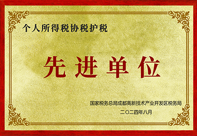 2024年個人所得稅協稅護稅先進單位