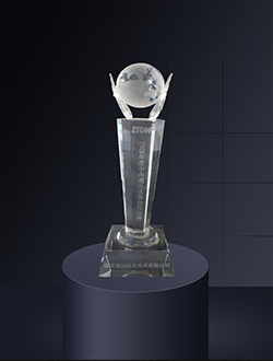 2009年度中興通訊優秀合作伙伴